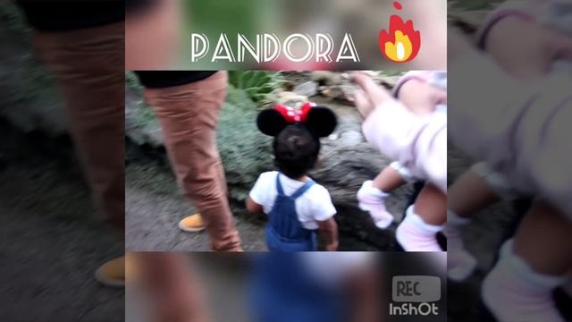 Disney's Animal Kingdom, Pandora, Mickey Mouse, safari смотреть онлайн