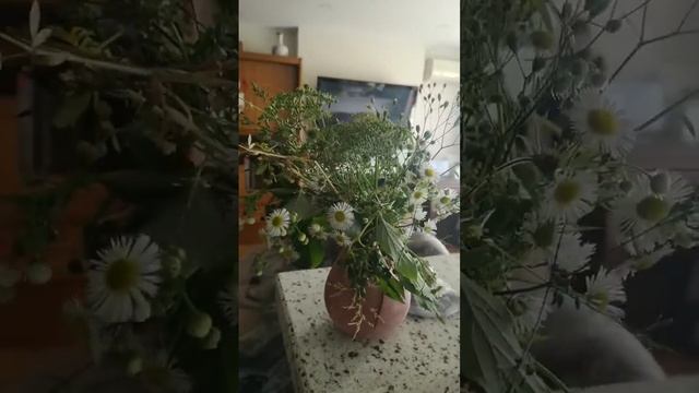 моё творчество, декор окна в кухне😏❤️#