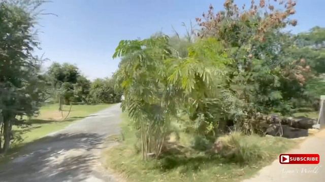 EXPLORING DUBAI SAFARI BUS TOUR (FULL VIDEO) смотреть онлайн