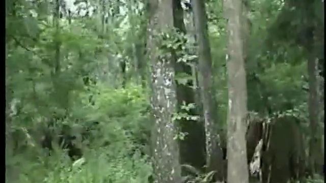 Crazy Safari Hobos! Part 2 смотреть онлайн