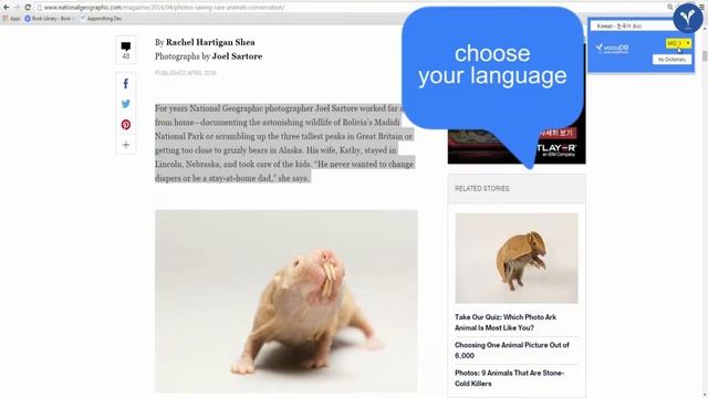 How to use tooltip of vocaDB in Chrome Extension смотреть онлайн