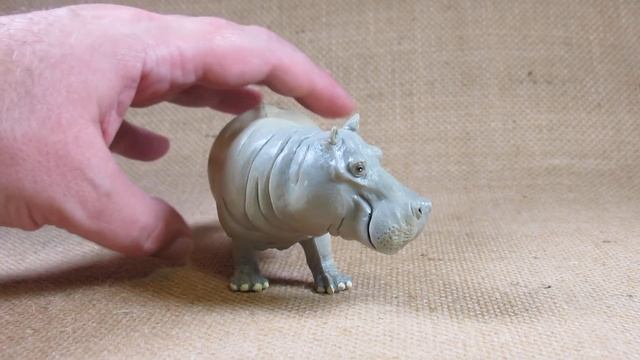 Safari Ltd. Hippopotamus Adult set # 2704-29 review смотреть онлайн