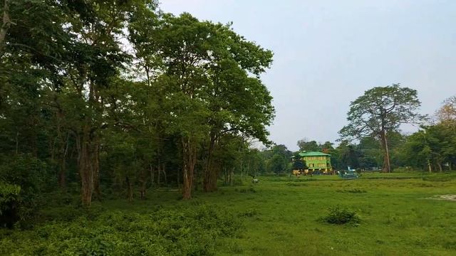 Elephant Safari | Jaldapara National Park | Rhino attack | How to Book & Price | Wildlife Sanctuary смотреть онлайн