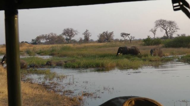 African Safari Elephant Hightlights (with music / scottzhang ).wmv смотреть онлайн