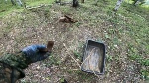 Металл не заканчивается/Снова еду на Колонию/Бывшая зона/Освобождаю дорогу от валежника