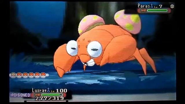 [DEXNAV] Shiny Paras after 112 Encounters in Petalburg Woods! (Pokemon Alpha Sapphire) смотреть онлайн