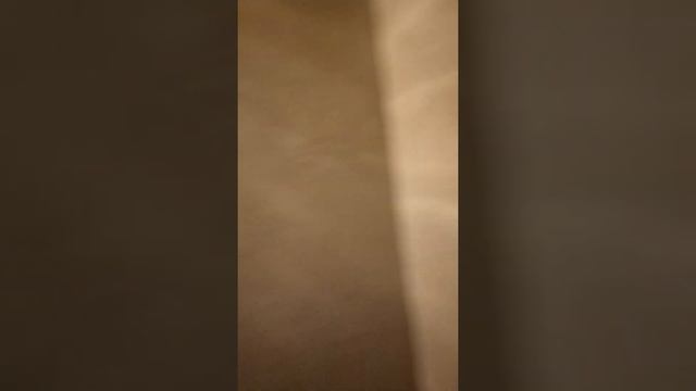 Электромонтажные и сантехнические работы смотреть онлайн