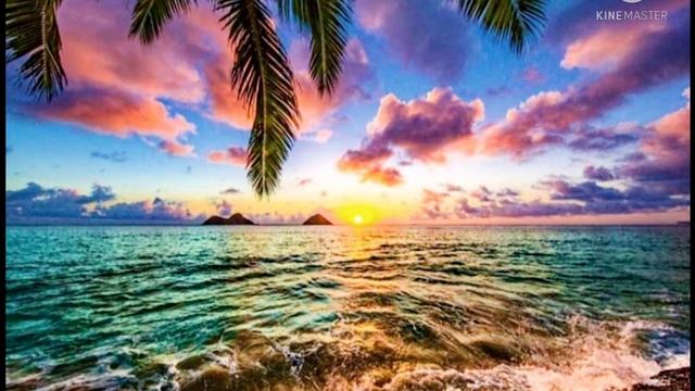 sunset music background " sunset music " sunset safari background music :sunset lover смотреть онлайн