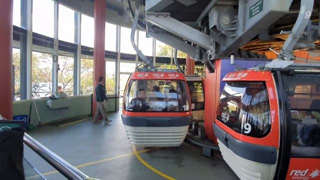 Sky Safari entry @taronga zoo sydney😀 смотреть онлайн