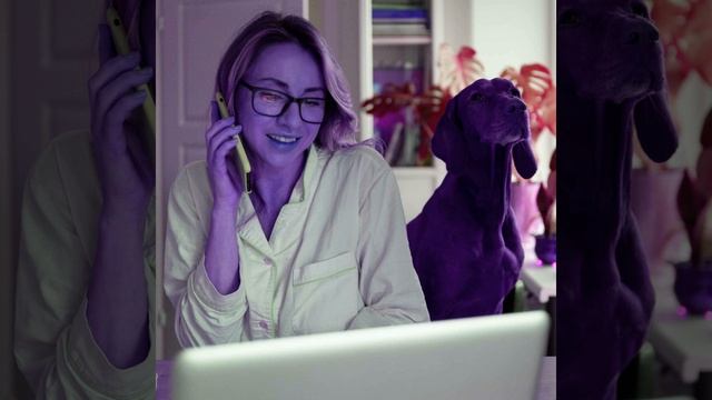 Lovely Music for Brave Doggy смотреть онлайн