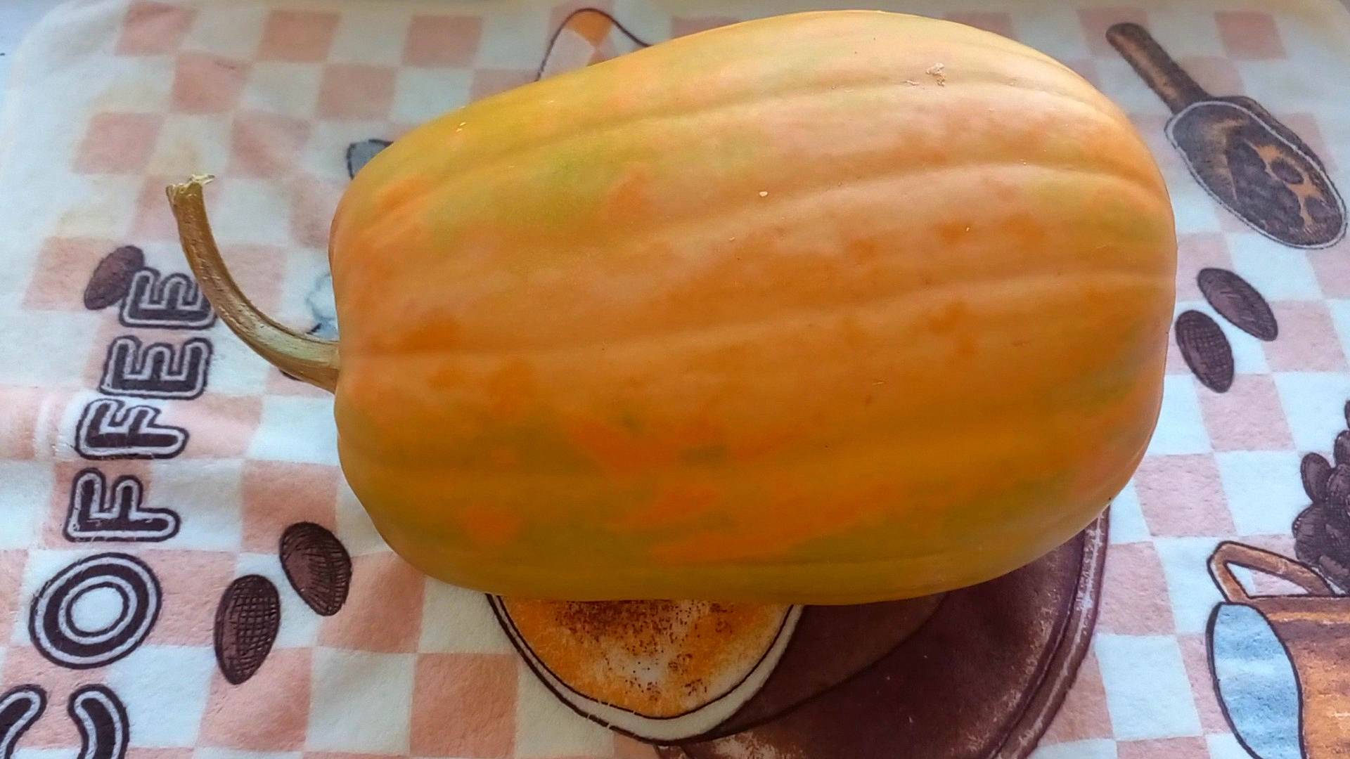 Когда тебя попросили приготовить вкусно тыкву, а ты не знаешь что с ней делать смотреть онлайн