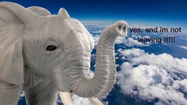 TRACK 2 C3: Okay What About the Safari, Blafari? смотреть онлайн