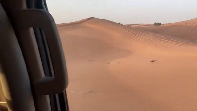 Dubai Trip Part 3 || Desert Safari смотреть онлайн