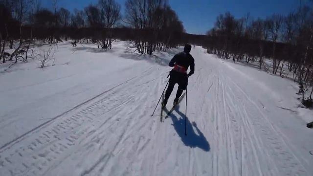 Хотели дать 30 км, но что то пошло не так смотреть онлайн