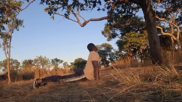 HOW TO SAY GOODNIGHT TO ELEPHANTS IN AFRICAN SAFARI AFTER A LONG DAY TOGETHER смотреть онлайн