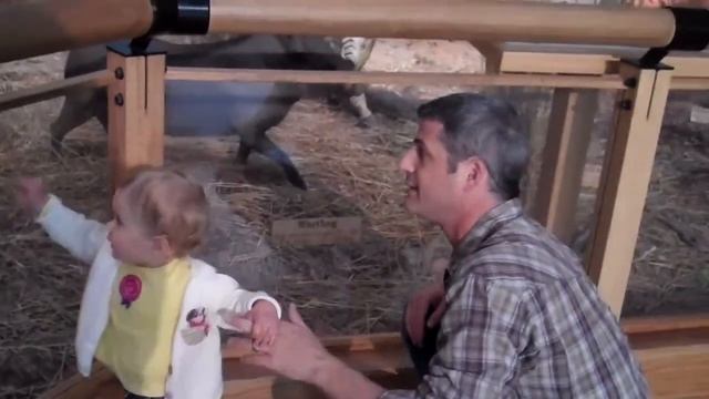 Cabela's African Exhibit смотреть онлайн