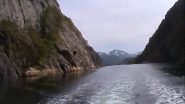 Sea Eagle Safari at Svolvaer, Lofoten Islands смотреть онлайн