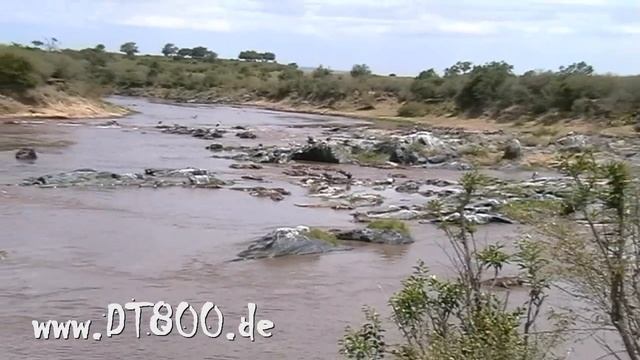 Mara River смотреть онлайн