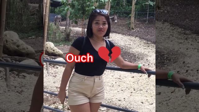 Cebu Safari Adventure Park смотреть онлайн