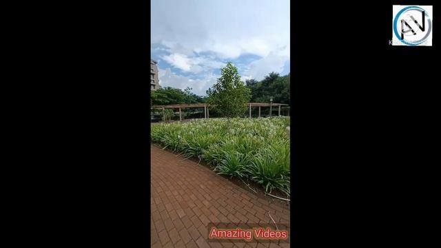 Skyi Songbird Township morning view from balcony | Songbird garden safari | Amazing Videos | Pune смотреть онлайн
