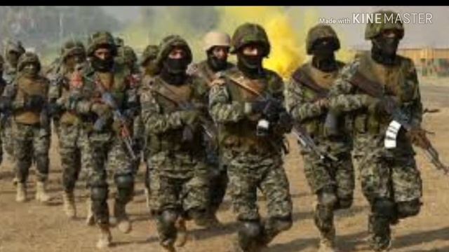 Beautiful song on defence day || we salute u our brave soldiers || miss tania смотреть онлайн