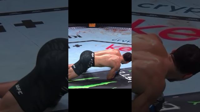 Шарабутдин Магомедов отправил в нокаут Армена Петросяна в конце второго раунда! смотреть онлайн