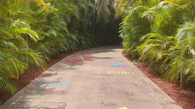 Lion Country Safari🦁 | Only In The Palm Beaches смотреть онлайн