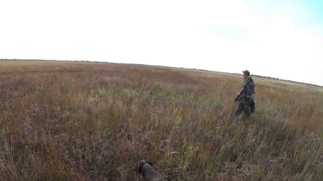 Охота на перепела 2022 смотреть онлайн