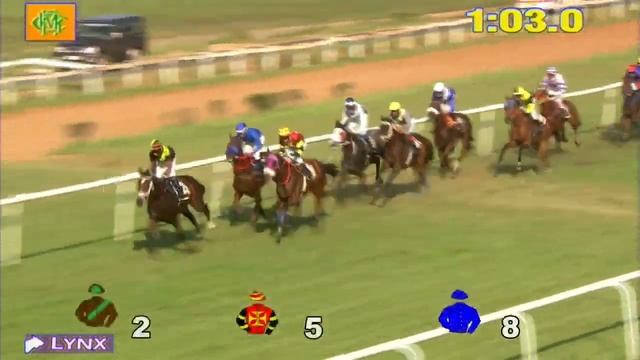 Walking Brave wins The Track Thunder Handicap смотреть онлайн