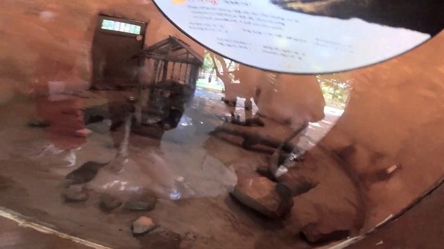 Phu Quoc Travel Vlog- Part 4 | Vinpearl Safari | Open zoo & conservation park with exotic animals смотреть онлайн