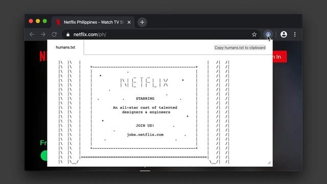 security.txt Browser Extension (Chrome) смотреть онлайн