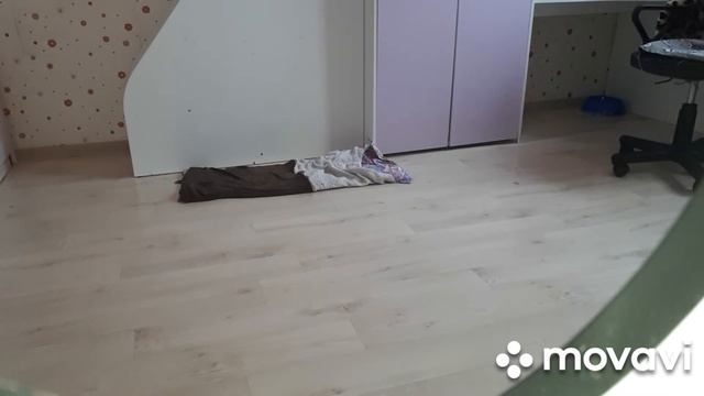 BLOG..3..((ХАНИ)))..🐶🐶🐶(СЪЕМКА СКРЫТОЙ КАМЕРОЙ)))))) смотреть онлайн