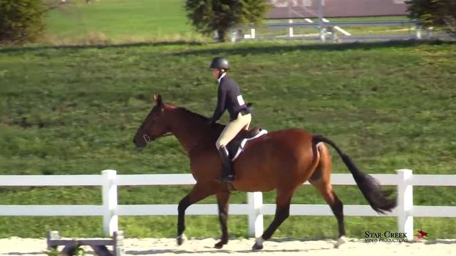 Mya Pinski & Lord Mayor's Bentley - Childrens Htr Saturday - A Finals Sep 2019 смотреть онлайн