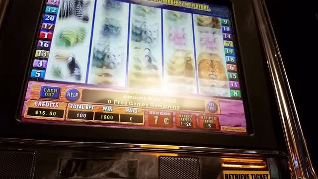 Jackpot Safari slot machine bonus смотреть онлайн