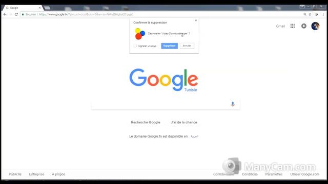 Suprimer DownloadHelper de Google Chrome смотреть онлайн