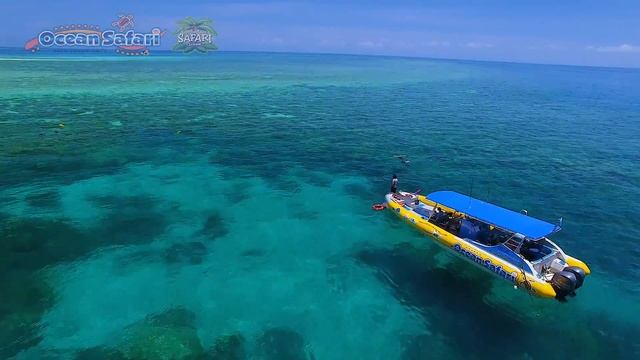 Ocean Safari Great Barrier Reef смотреть онлайн