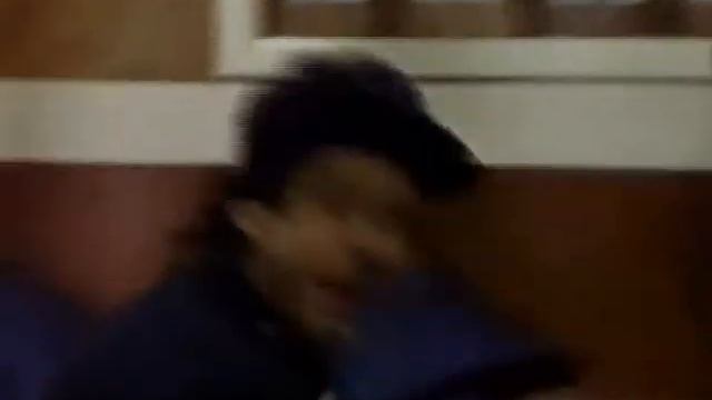 Cruz & Eden's scene - "Who pulled the plug" investigation PART 40 смотреть онлайн