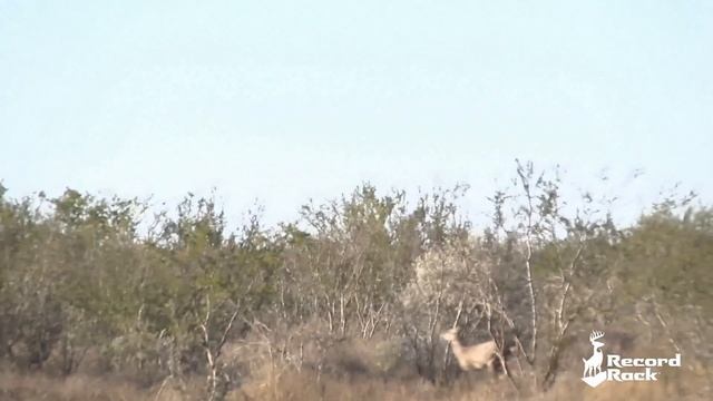 Nominate a Hero for Record Rack's 2019 Bucks for the Brave Hunt Contest смотреть онлайн