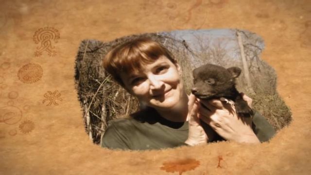 Wildlife Discoveries - Episode Two - Annual Safari Club International- Northern Alberta Chapter смотреть онлайн