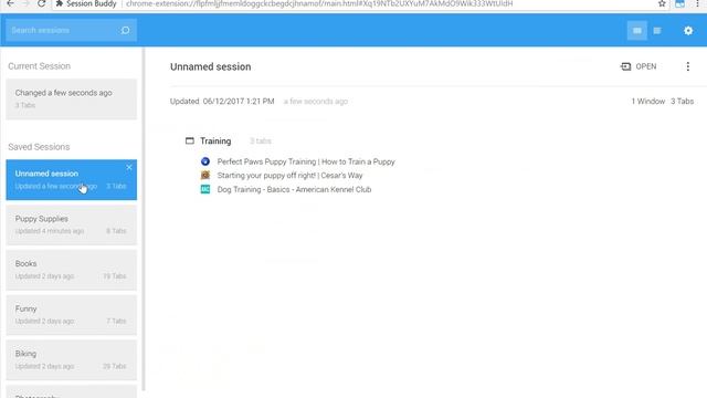 Session Buddy Demo смотреть онлайн