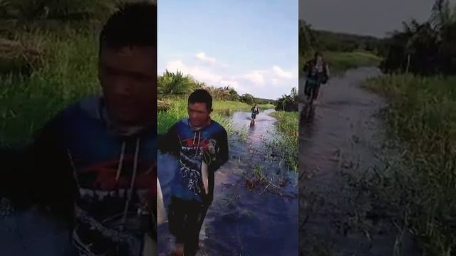 Spot casting logo safari-riau смотреть онлайн