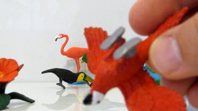 All My Kids Toys New SAFARI LTD Toob Series   Exsotic Birds  Parrots And Beautiful Birds   Toy Unbo