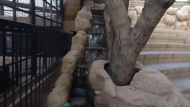 Emirates park zoo | abudhabi смотреть онлайн