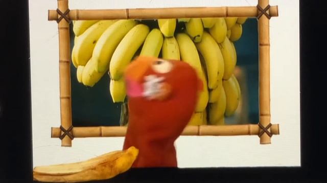 Baby Einstein wild animal safari monkey смотреть онлайн