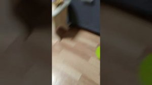 24 часа на кухне