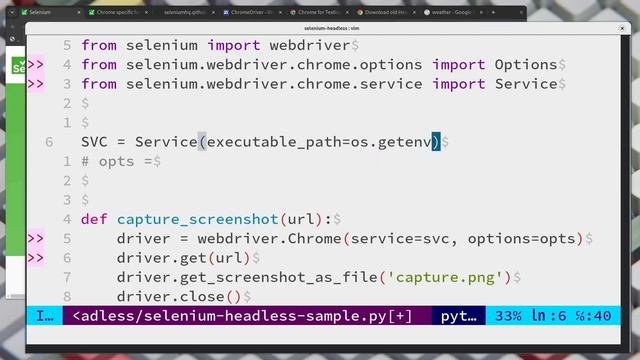 Selenium x Python, to automate Headless Browser (no gui) | #howto #selenium #testing #chrome смотреть онлайн