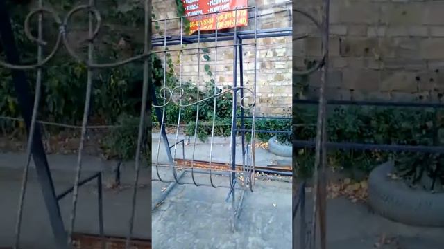 Решетки луковицы смотреть онлайн