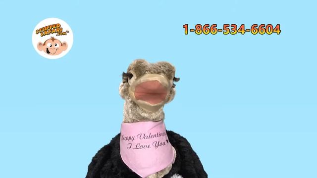VALENTINES DAY WITH STUFFED SAFARI WITH PROMO CODE смотреть онлайн
