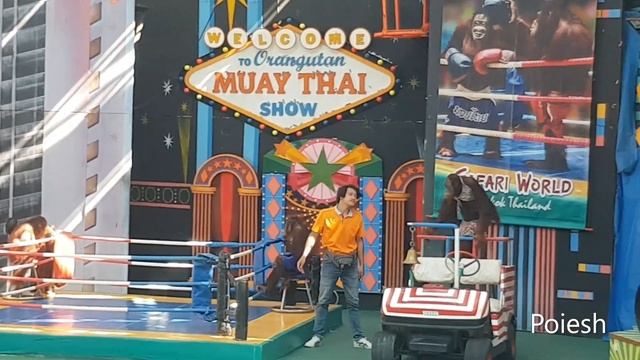 BANGKOK Monkey, SAFARI WORLD THAILAND LIFE TIME MEMORIE (After Quarantine) INTERTAINMENT смотреть онлайн