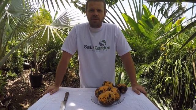 A Rara Manga Oliveira Neto - Safari Garden смотреть онлайн